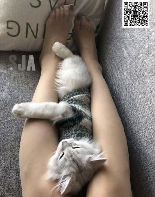 91日日夜夜_BD英语电影在线看