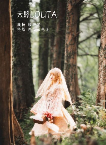 精品视频一二三区小说_1080在线观看电视